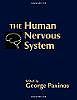 The Human nervous system