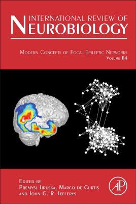 Modern Concepts of Focal Epileptic Networks, 114