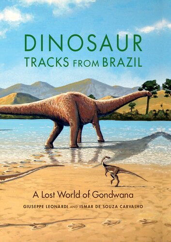 Dinosaur Tracks from Brazil