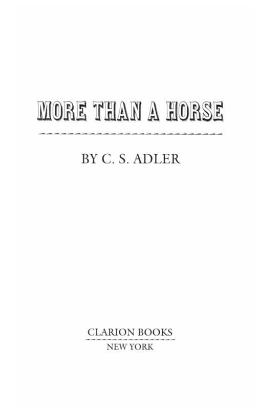 More Than a Horse