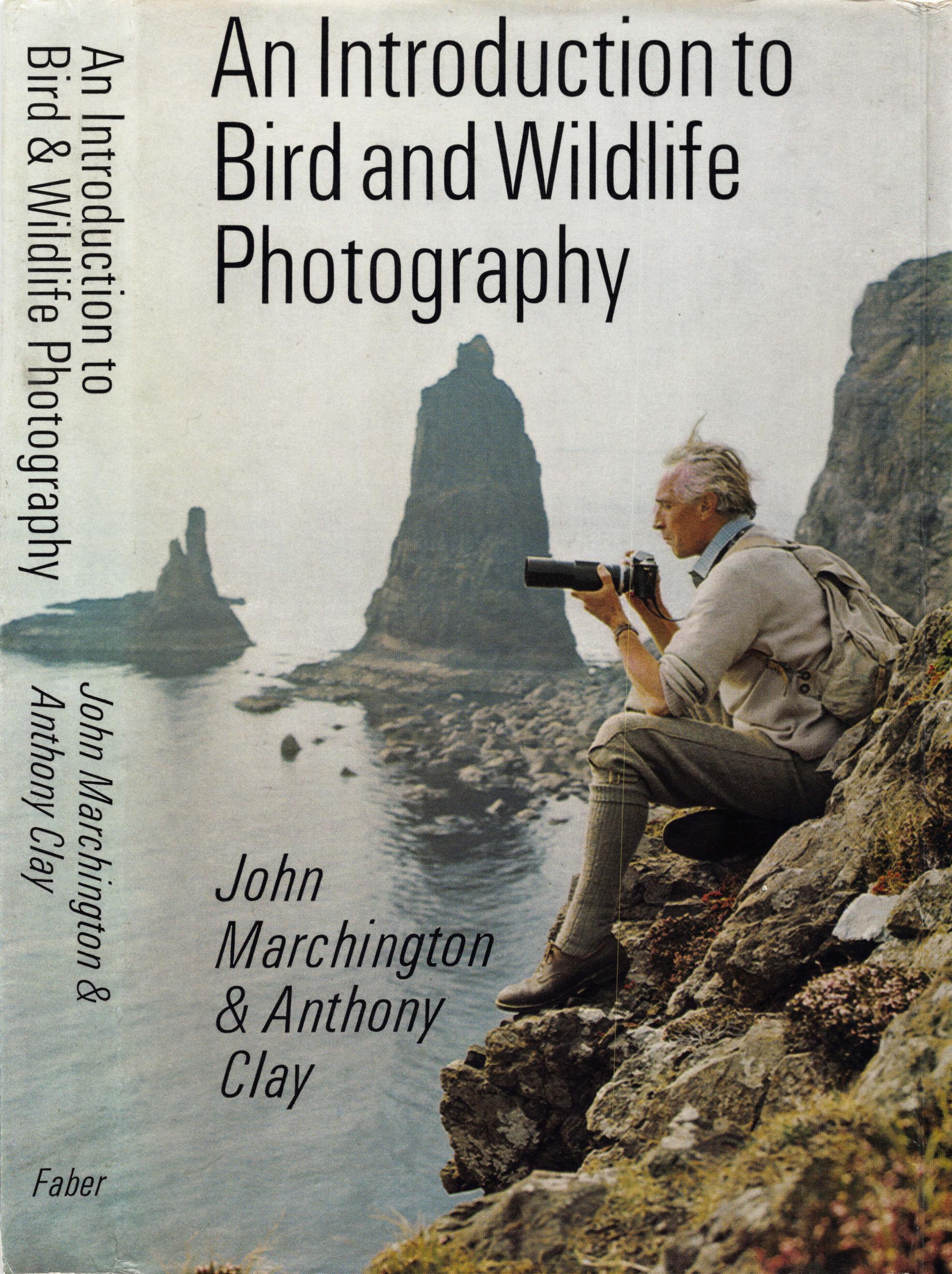 An Introduction to Bird and Wildlife Photography