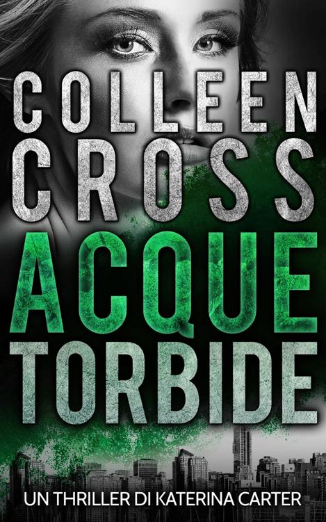 Acque torbide: Un Thriller di Katerina Carter