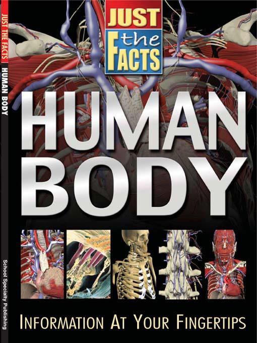 Human Body