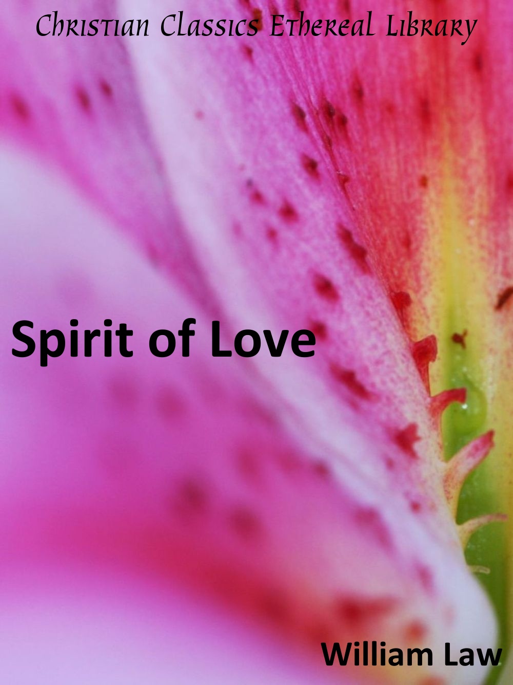 Spirit of Love