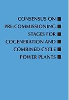 Consensus on Pre-Commissioning Stages for Cogeneration and Combined Cycle Power Plants