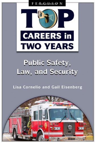 Public Safety, Law, and Security