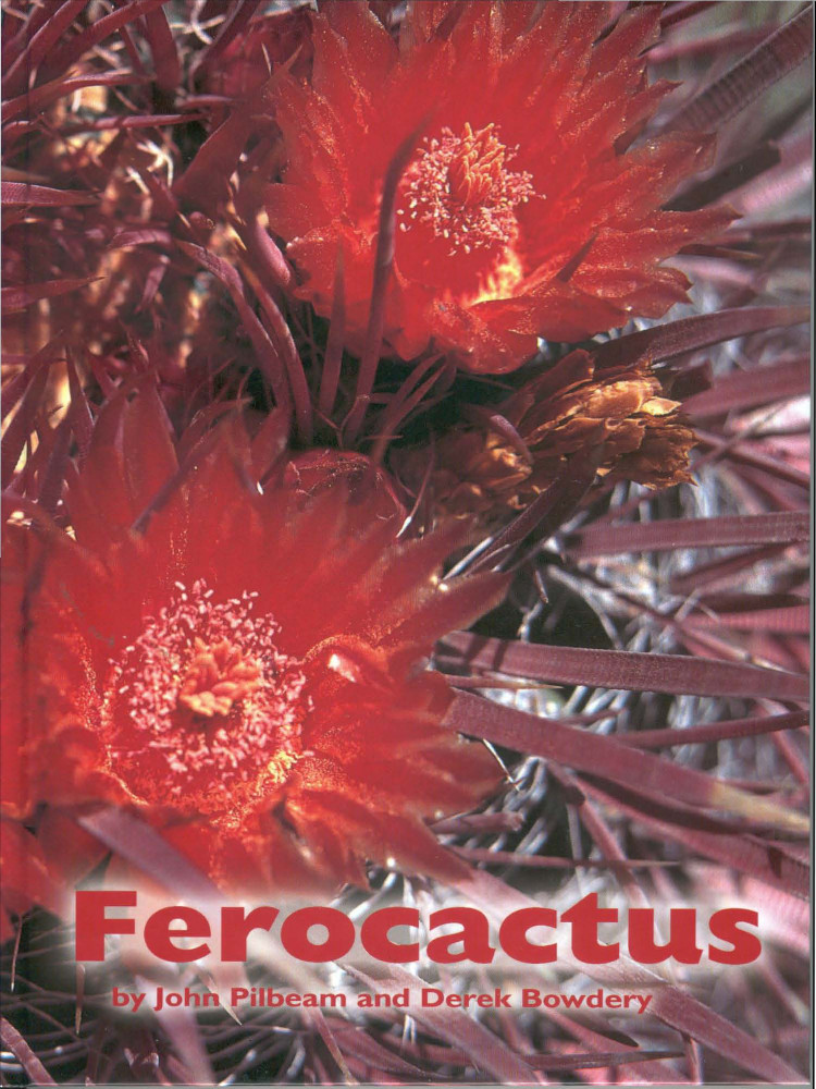 Ferocactus