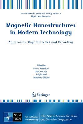 Magnetic Nanostructures in Modern Technology