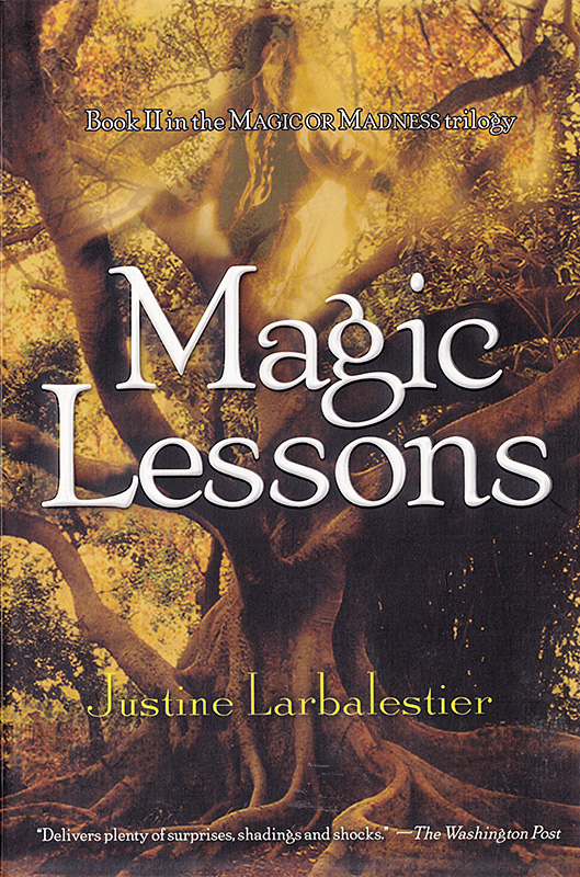 Magic Lessons