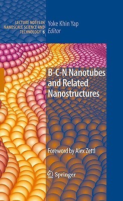 B C N Nanotubes And Related Nanostructures (Lecture Notes In Nanoscale Science And Technology)