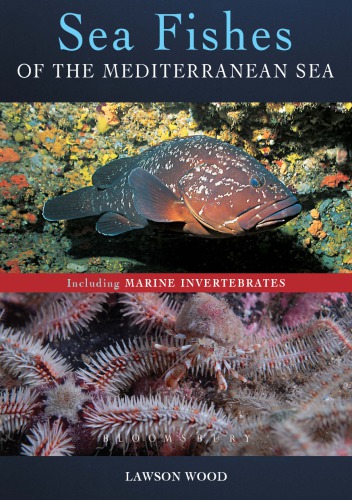 Sea Fishes Of The Mediterranean Including Marine Invertebrates