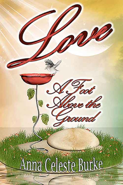 Love, A Foot Above the Ground