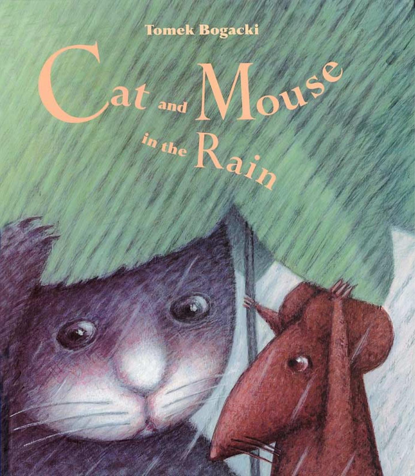 Cat and Mouse in the Rain