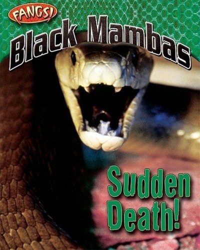 Black Mambas