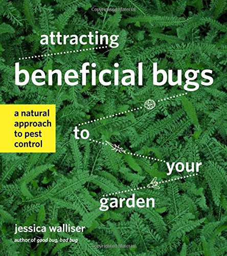 Attracting Beneficial Bugs to Your Garden