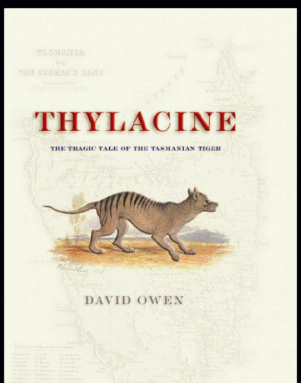 Thylacine