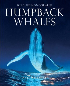 Humpback Whales