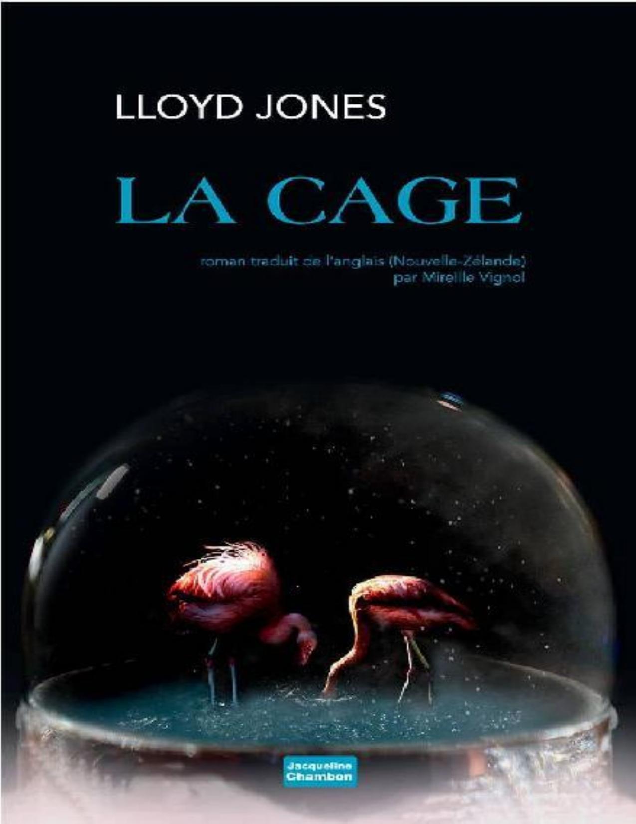 La cage : roman