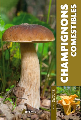 Champignons comestibles.