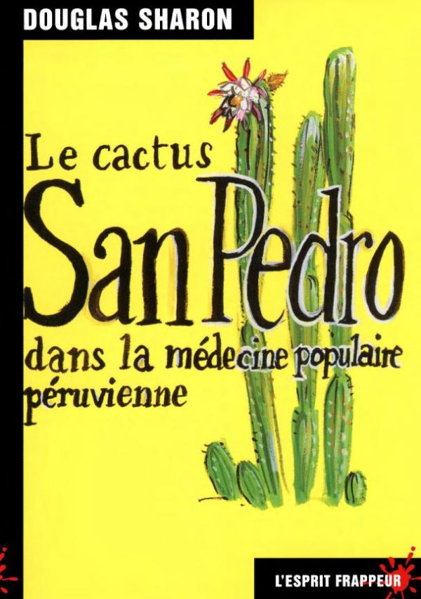 Le cactus San Pedro dans la médecine populaire péruvienne