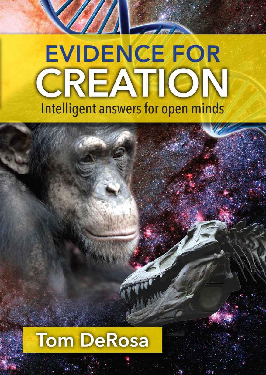 Evidence for Creation: Intelligent Answers for Open Minds