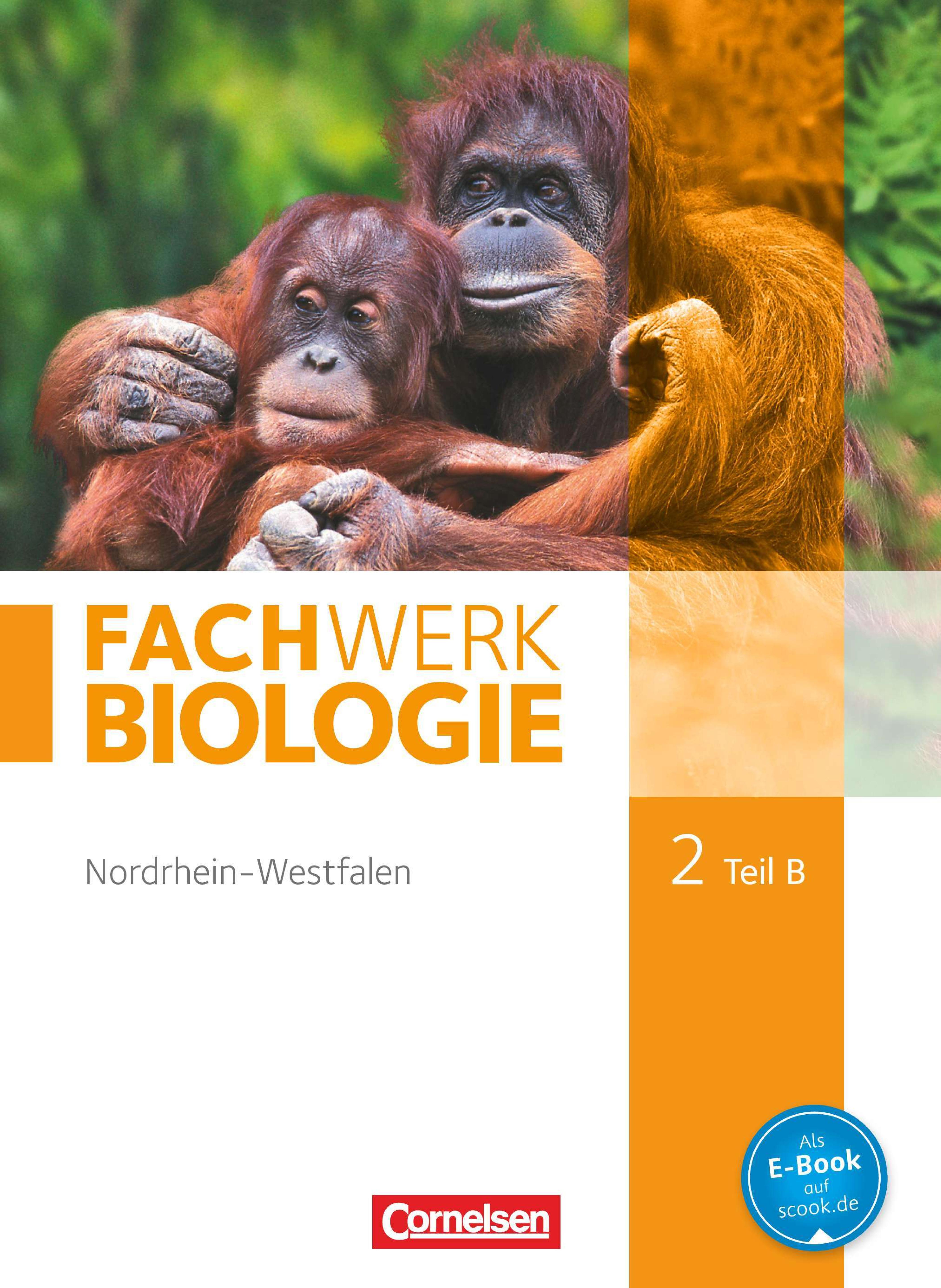 Fachwerk Biologie 2. Teil B. [Hauptw.]. / [Autorinnen und Autoren: Anke Form ...]