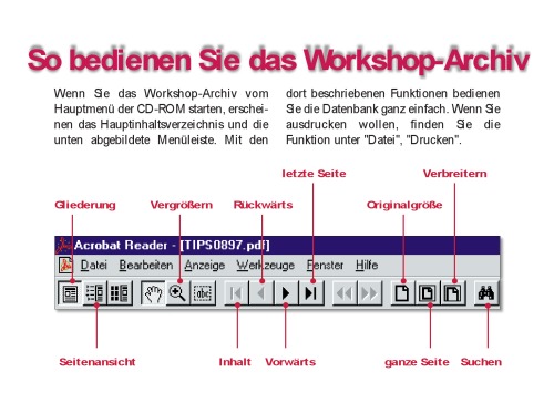 Mit Microsoft-Programmen ins Internet Buch.