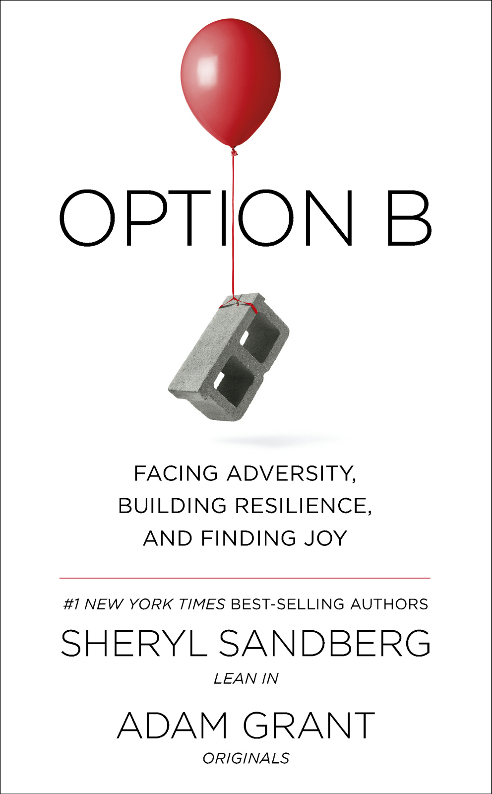 Option B: Facing Adversity, Building Resilience, and Finding Joy