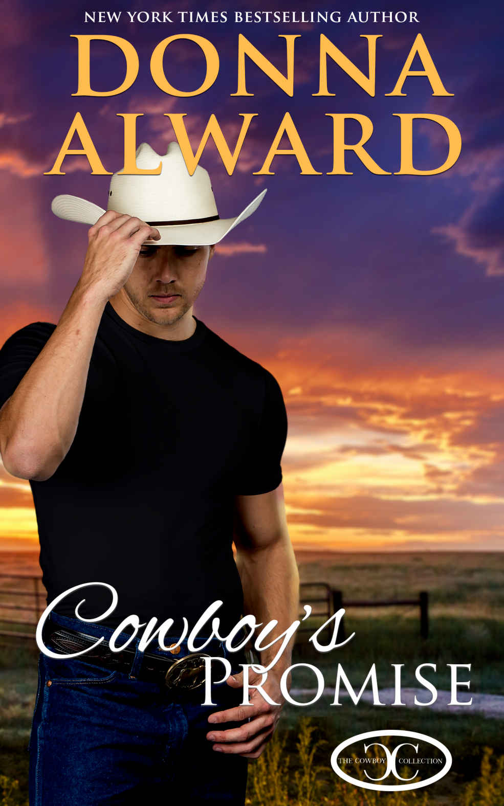 Cowboy's Promise (Cowboy Collection 08)