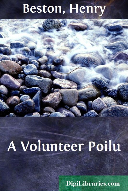 A Volunteer Poilu