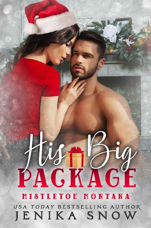 His Big Package (Mistletoe Montana #4)