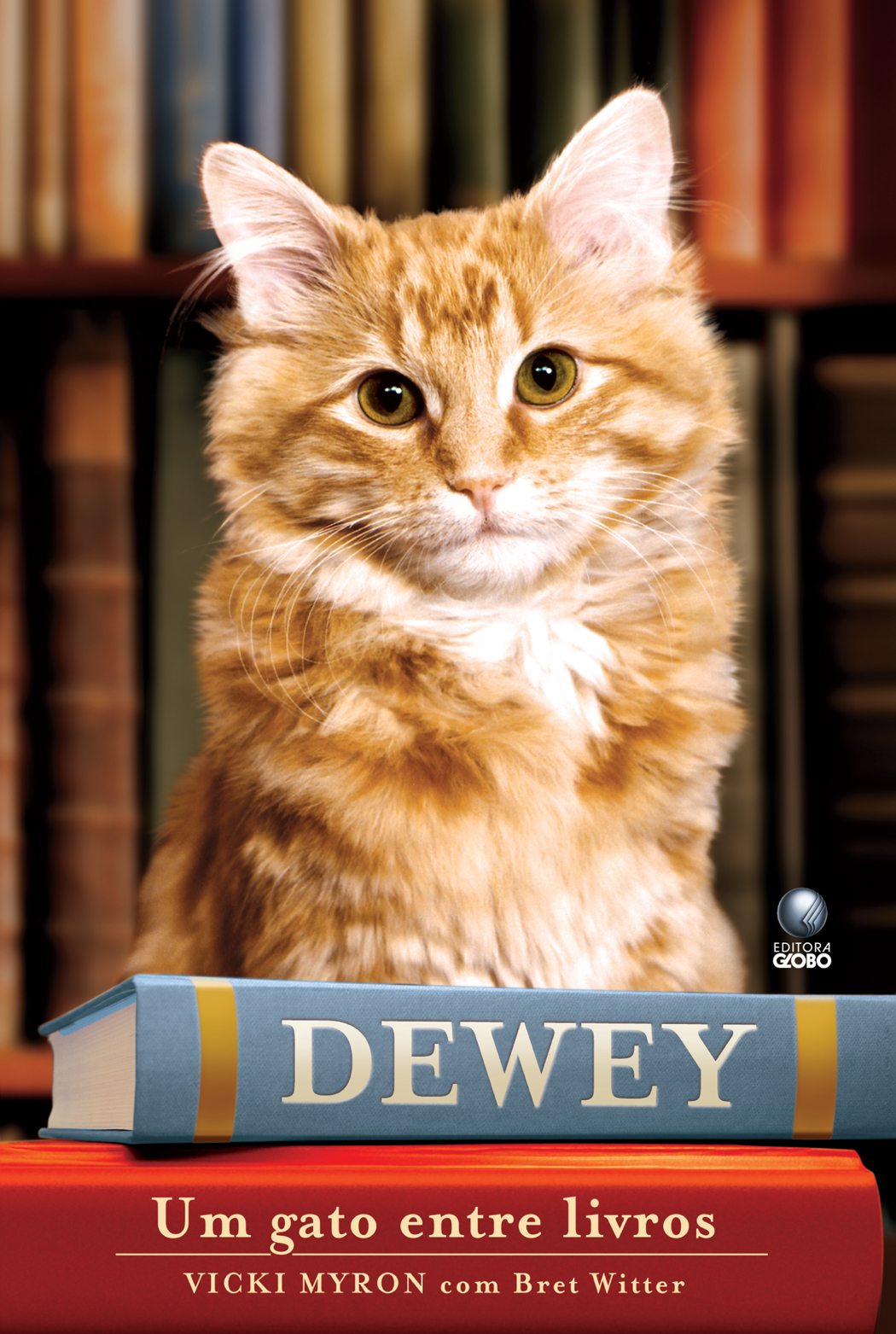 Dewey - Um Gato Entre Livros