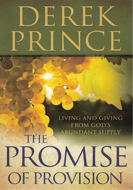 The Promise of Provision: Living and Giving From God's Abundant Supply