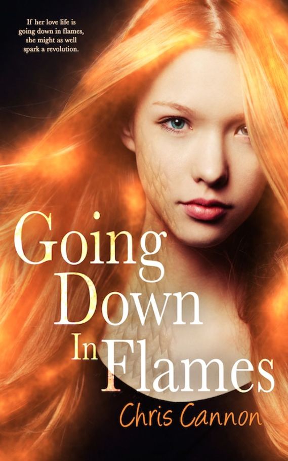 1-Going Down in Flames