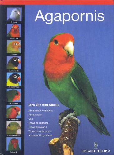 Agapornis / Lovebird (Pajaros / Birds)