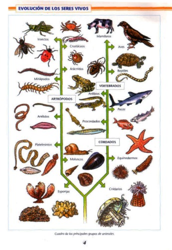 Atlas de zoología