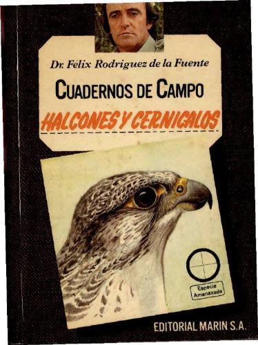 Halcones y cernícalos