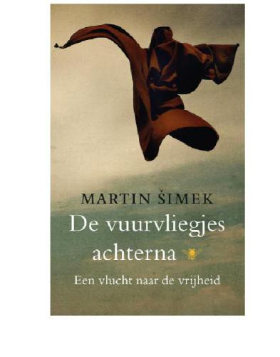 De vuurvliegjes achterna