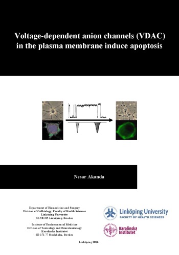Voltage-dependent anion channels (VDAC) in the plasma membrane induces apoptosis