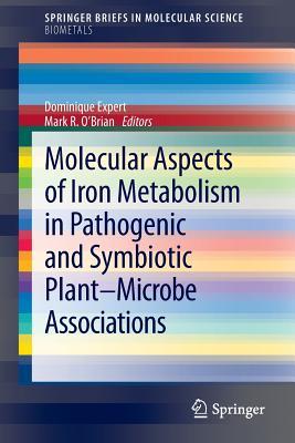 Molecular Aspects of Iron Metabolism in Pathogenic and Symbiotic Plant-Microbe Associations