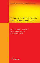 V-invex functions and vector optimization