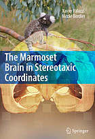 The Marmoset Brain in Stereotaxic Coordinates