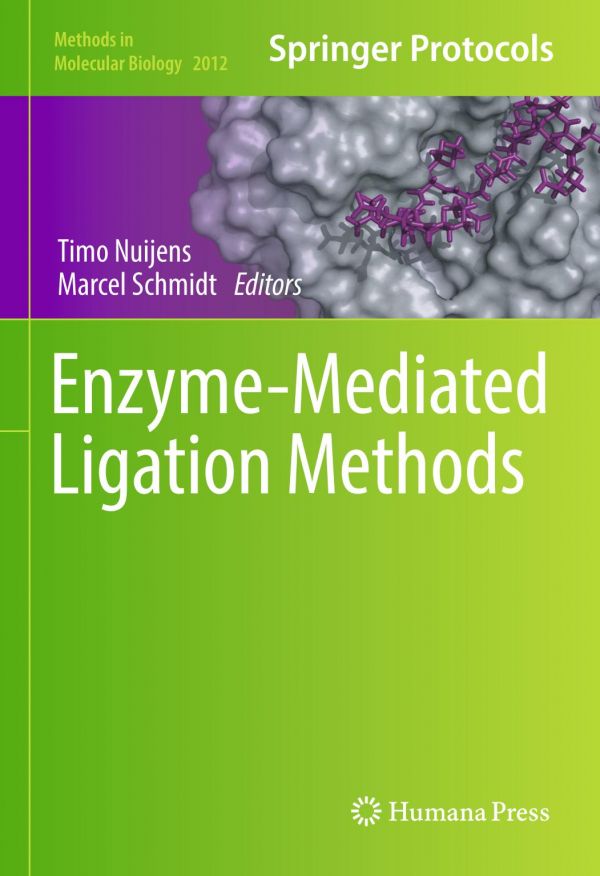 Enzyme-mediated ligation methods