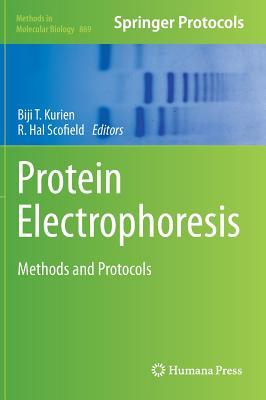 Protein Electrophoresis