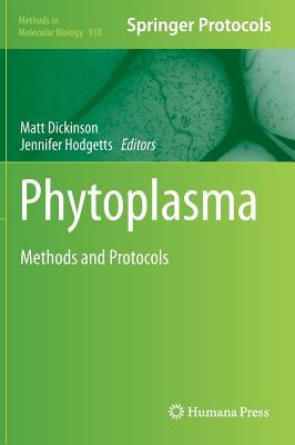 Phytoplasma