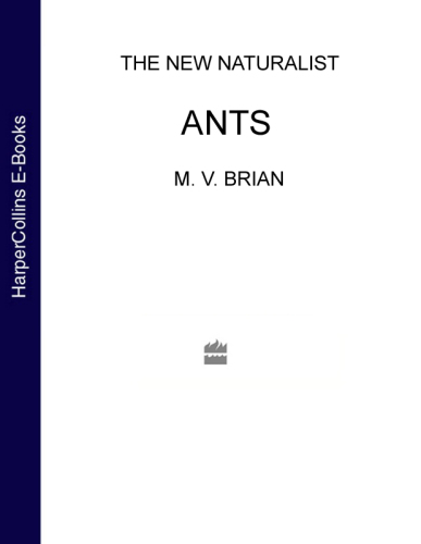 Ants