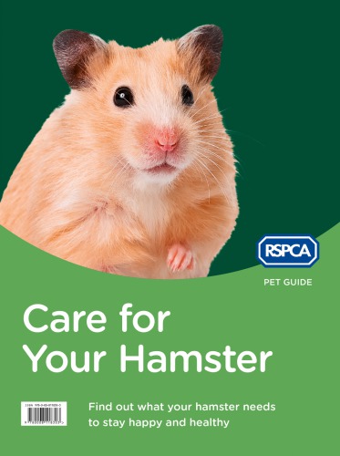 Care for your hamster.