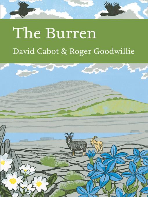 The Burren