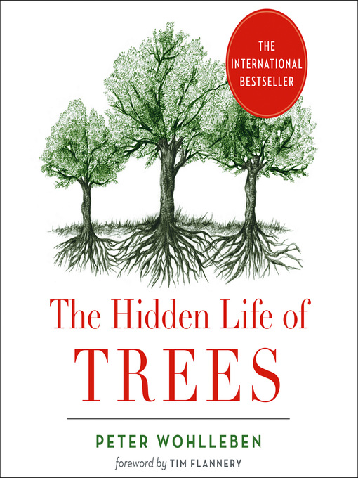 The Hidden Life of Trees