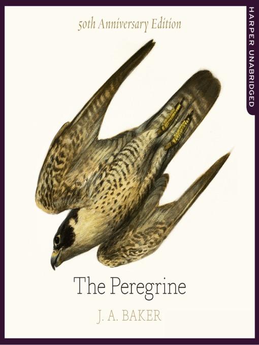 The Peregrine